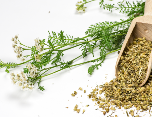 Uso dell’olio Essenziale di Achillea nel quotidiano